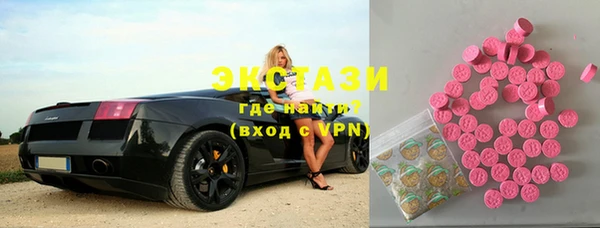 индика Алексин