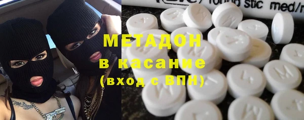 индика Алексин