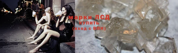 индика Алексин