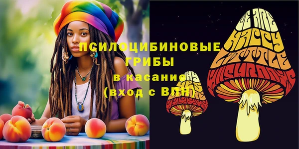 МДПВ Алзамай
