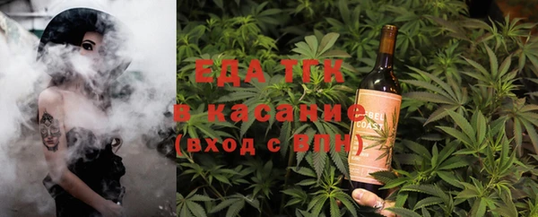 индика Алексин