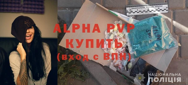 индика Алексин